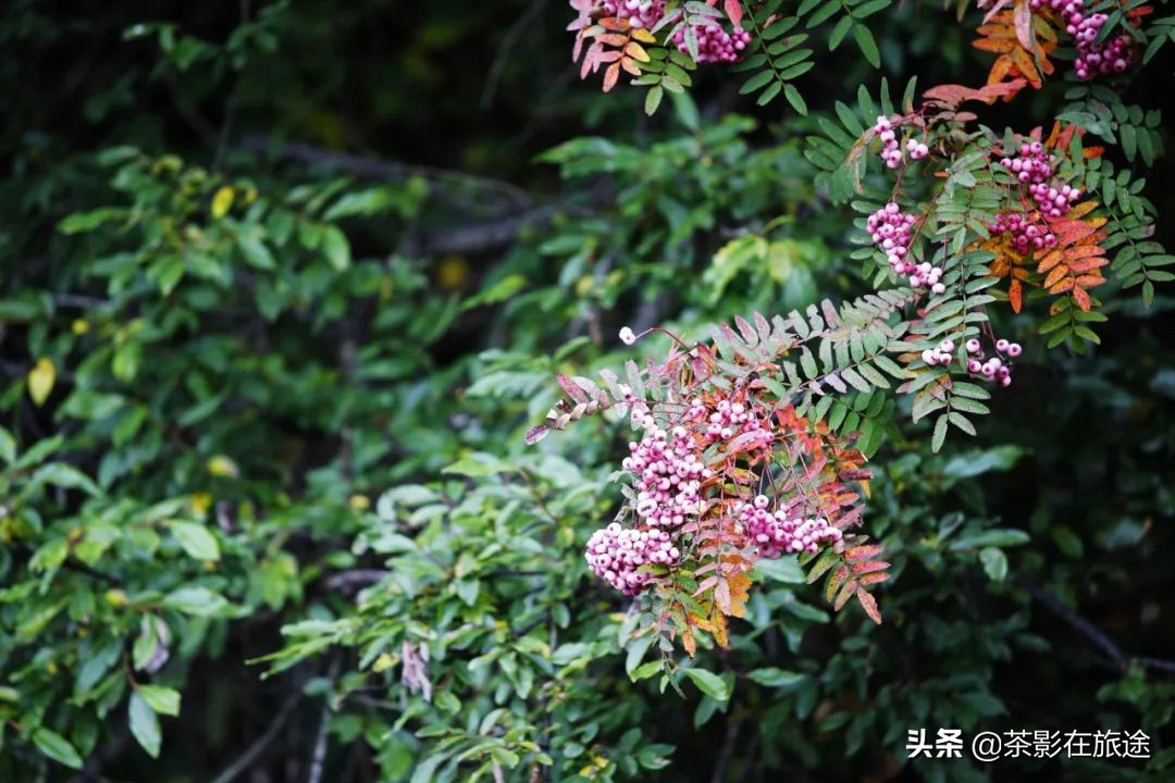 进藏旅行记,林芝巴松措结巴村民宿哪家好