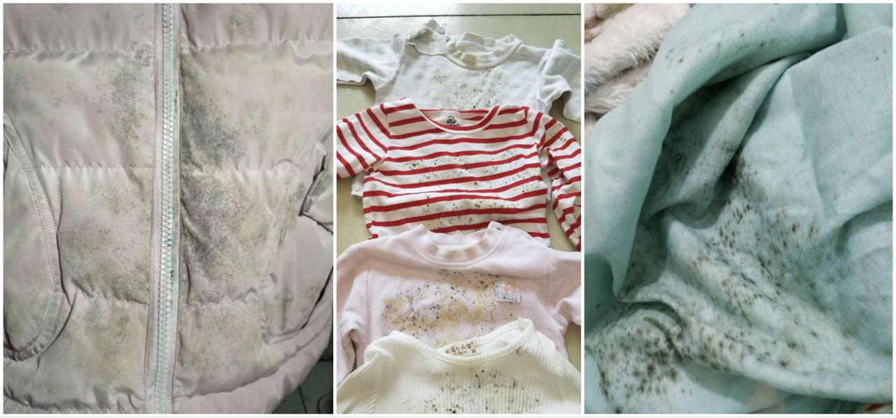 回南天来袭防潮妙招你值得拥有 (客厅地板回南天除湿防潮神器)