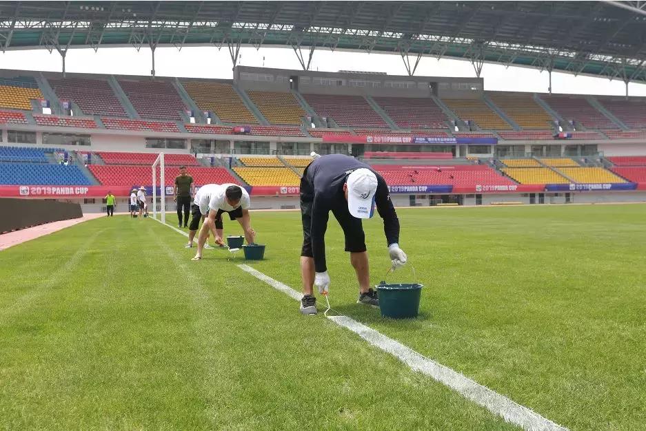 成都双流体育中心最新消息,成都体育中心事件