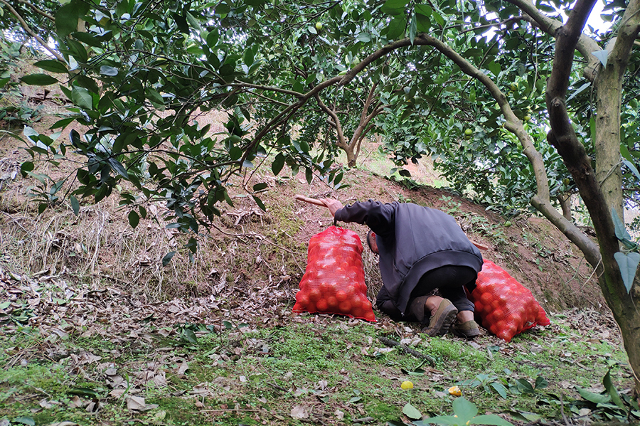 留守老人心酸,心酸留守老人