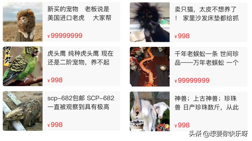 闲鱼神兽出售,闲鱼上买神兽靠谱吗