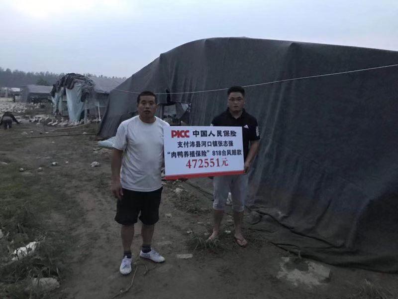 扎扎实实服务乡村振兴战略徐州人保财险创新农险高质量发展纪实