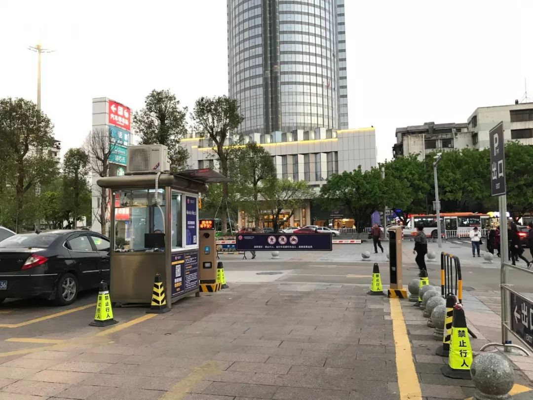 端午汽车文化节,端午汽车节活动