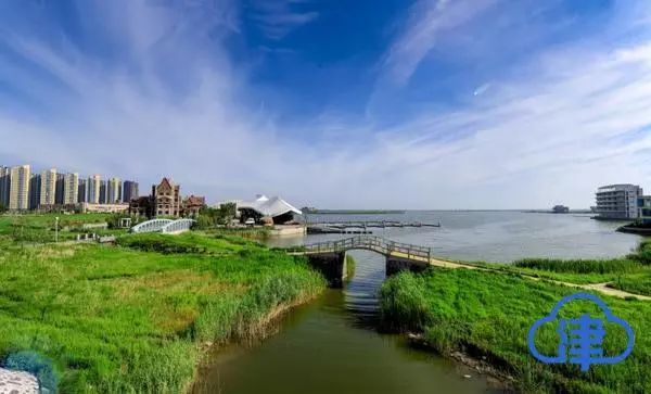 津南区绿色生态屏障起步区,津南区绿色屏障2022年新进展