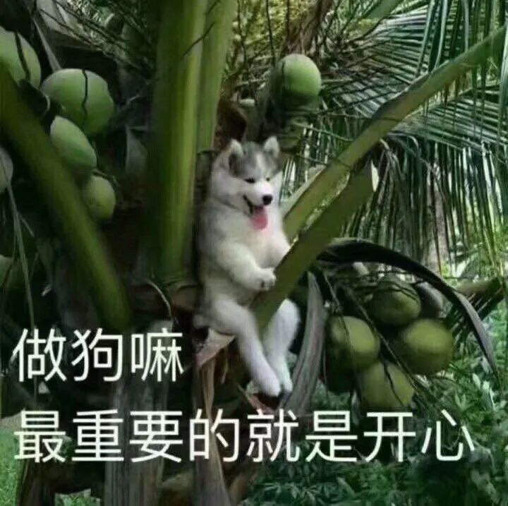 618购机攻略图文,618购机优惠攻略