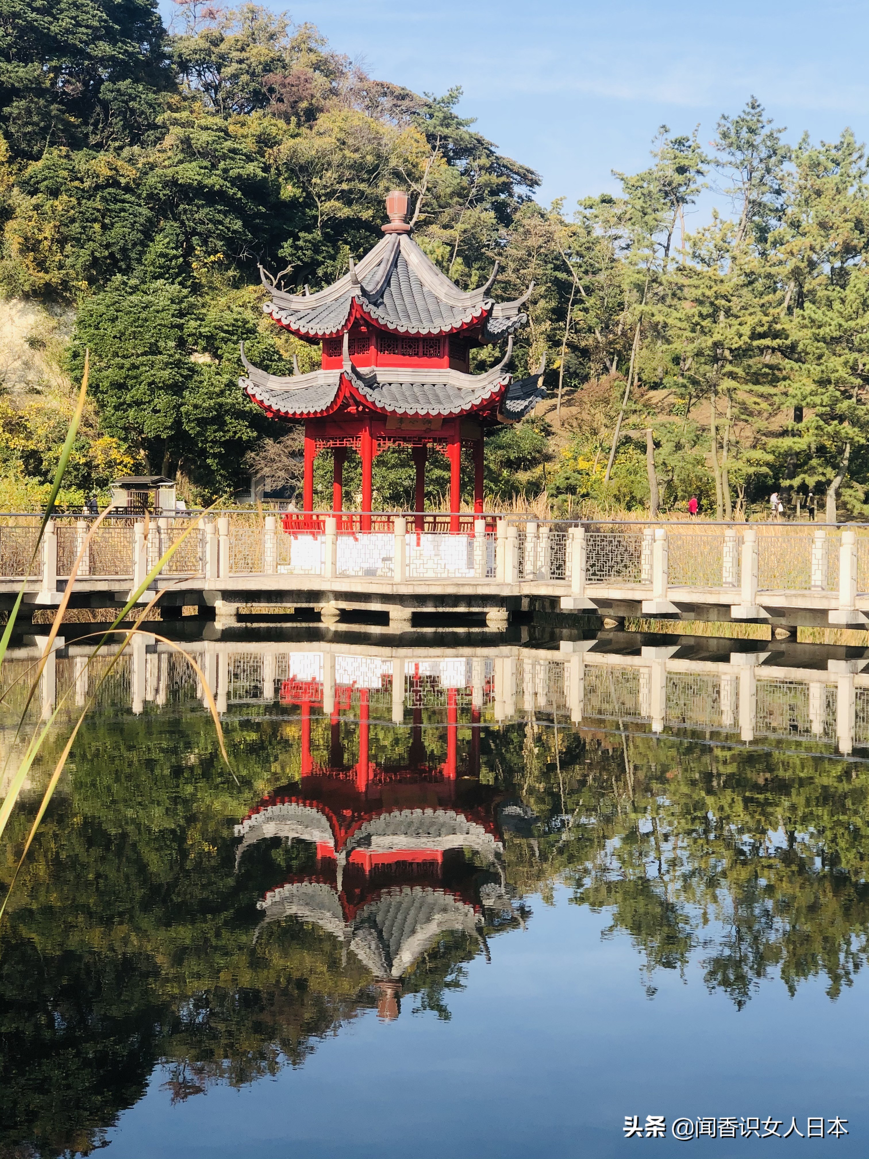 横滨三溪园,横滨三溪园介绍