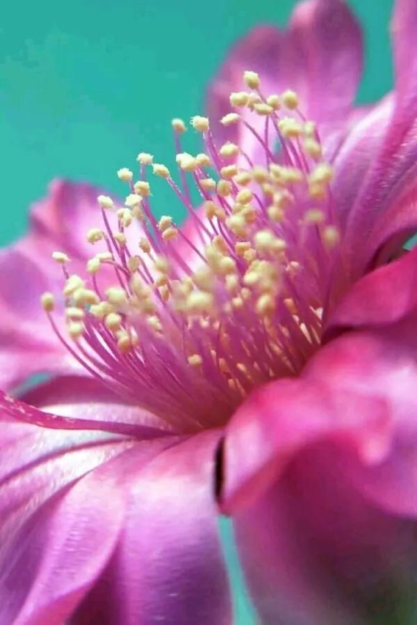 朋友圈说说精致的句子,精致走心的句子高级朋友圈说说