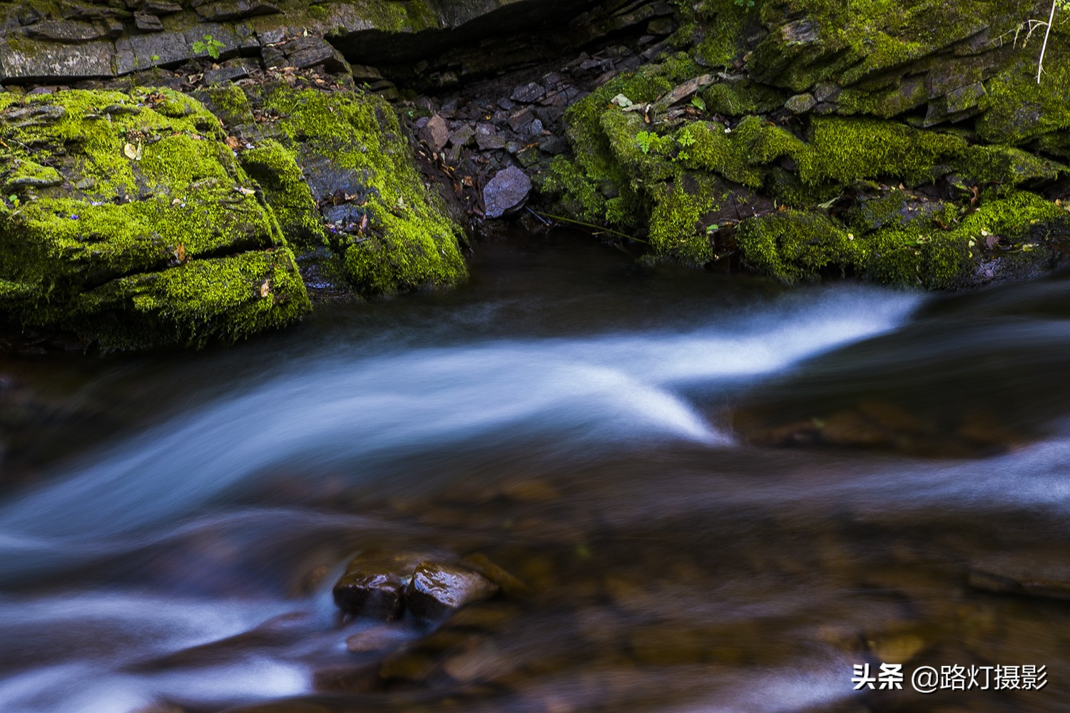 初夏要有十分美，宁夏固原占九分，你同意吗？
