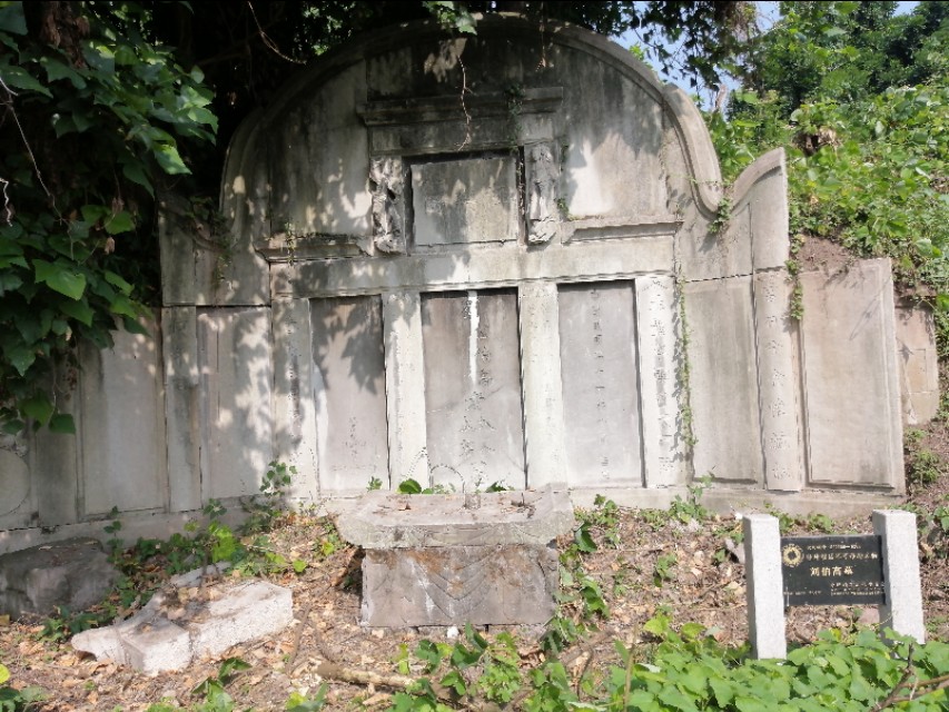 扫街日记100篇,扫街日记视频