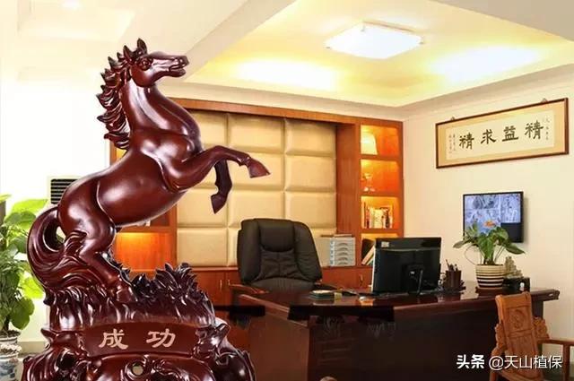 富有传统特色的吉祥物及寓意,100种摆件寓意好