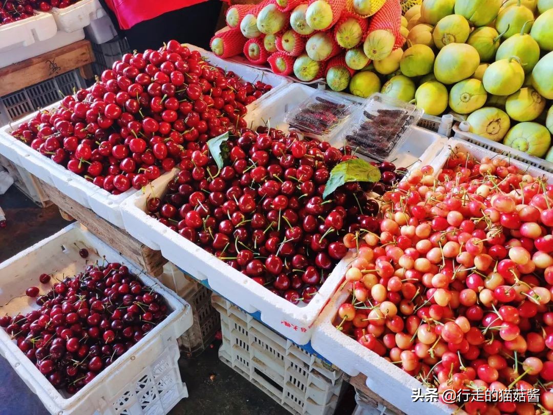 烟台海鲜面哪家最好吃,烟台美食面朝大海现捞现吃