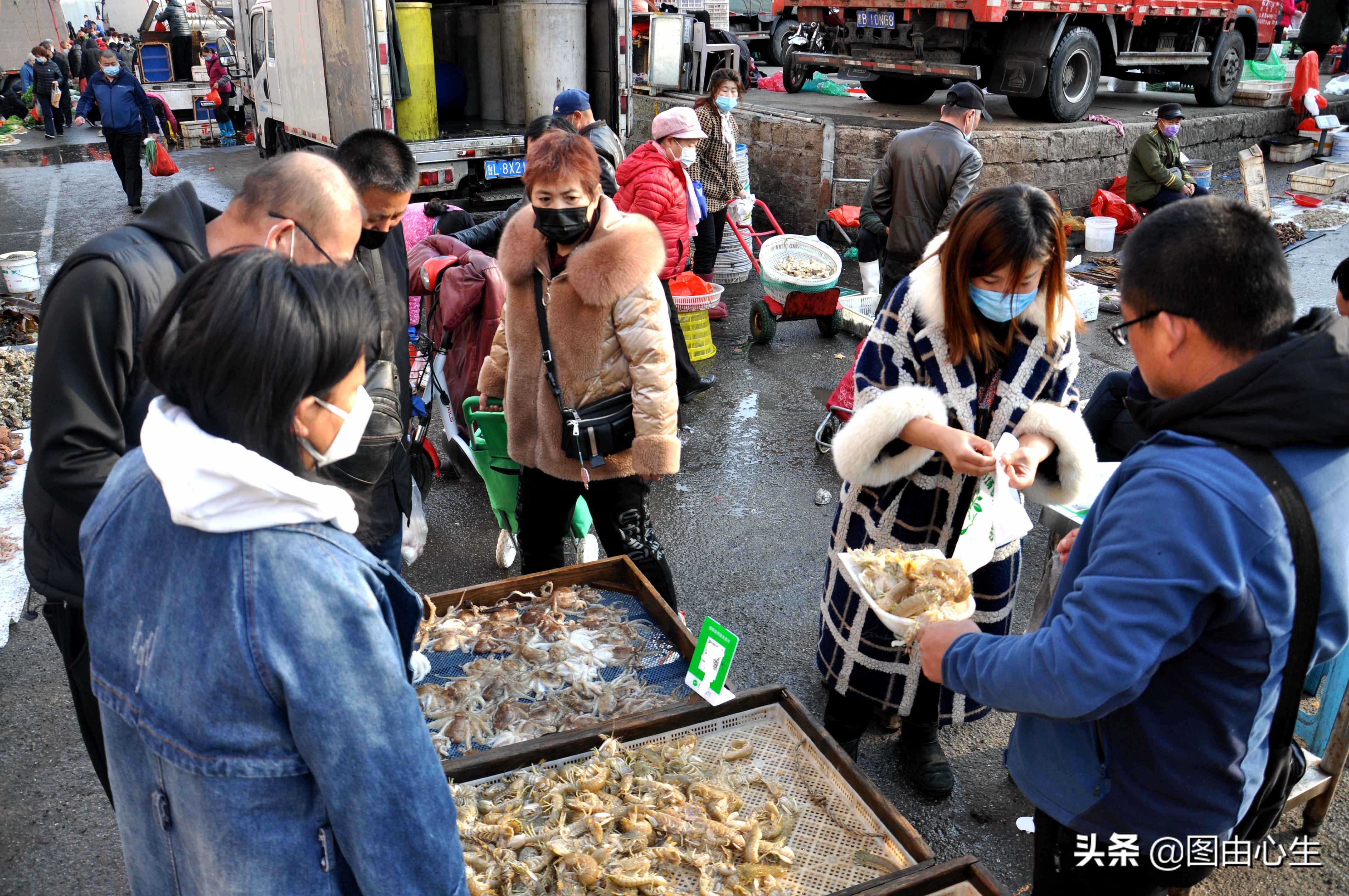 青岛虾爬子多少钱一斤,青岛爬虾推荐