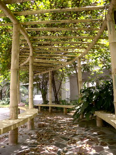 肇庆学校游玩,肇庆学院校园风景照片