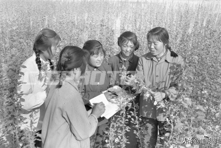 榆林市八十年代 (榆林市制革厂老照片)