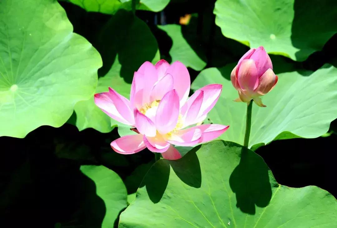 威海游览,威海玩美攻略潮玩街区