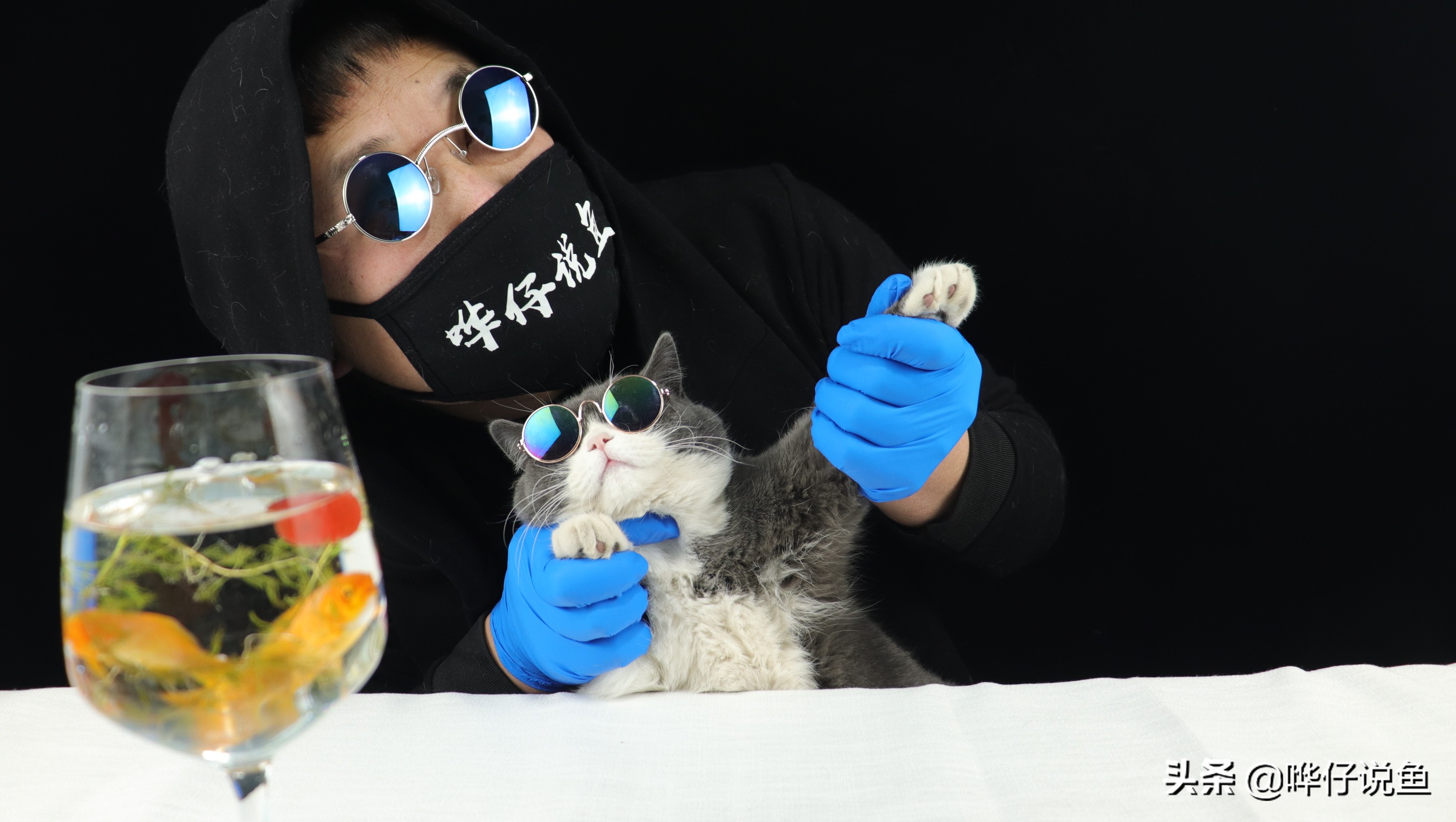 鱼缸日常有必要添加硝化细菌吗,鱼缸鱼很多有必要用硝化细菌吗