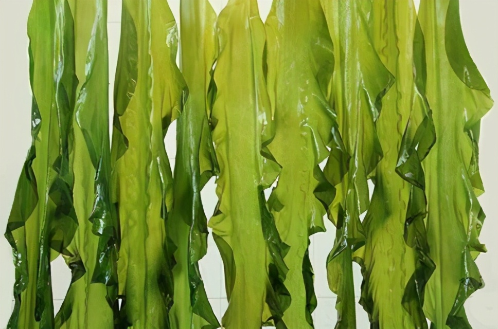 春天吃海带的好处和坏处,男性吃海带有什么好处