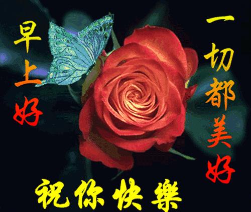 最美早晨问候祝福语图,早晨问候早上好暖心句子图片