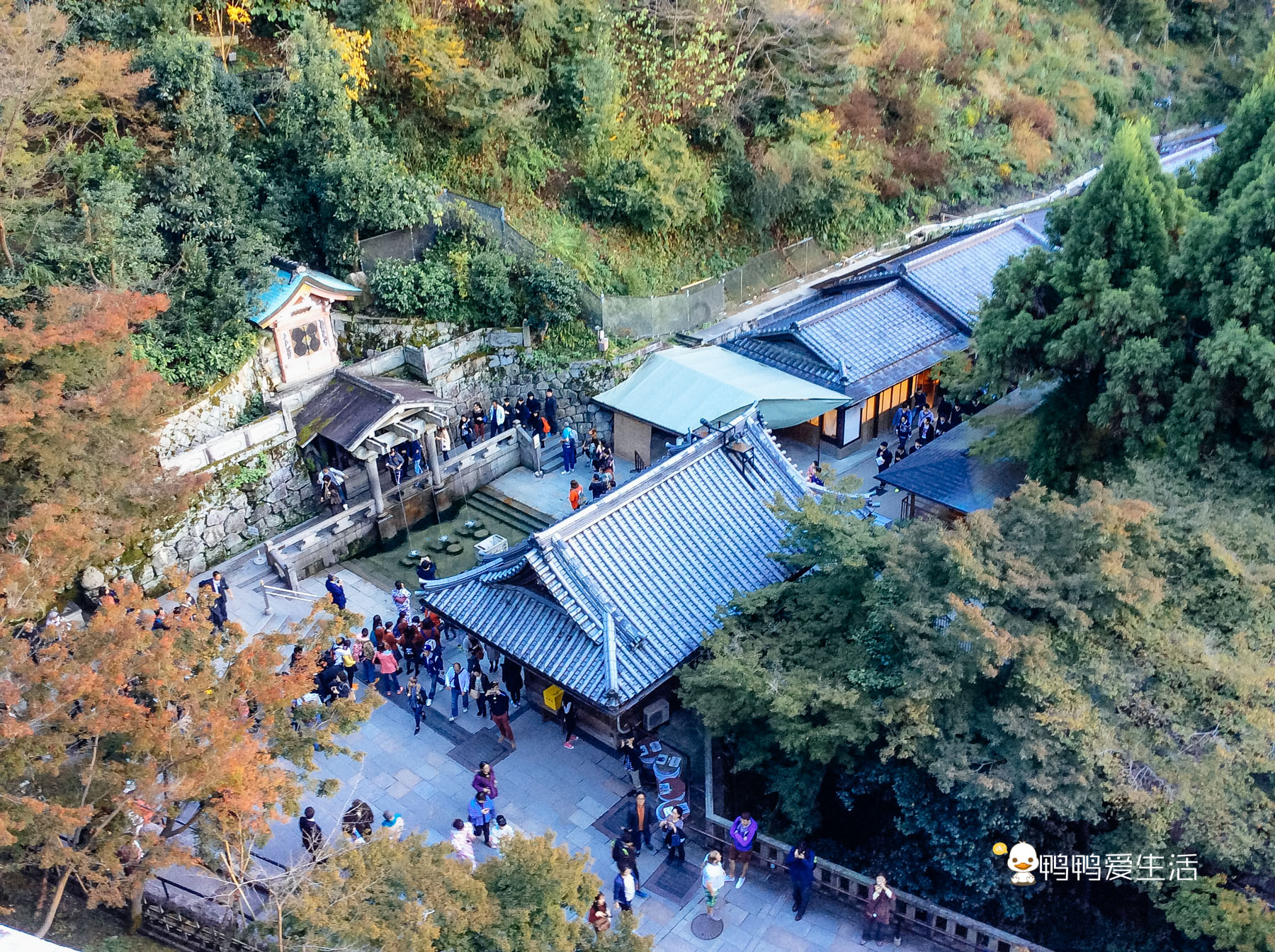 日本京都寺庙视频,日本京都闹市区古老寺庙