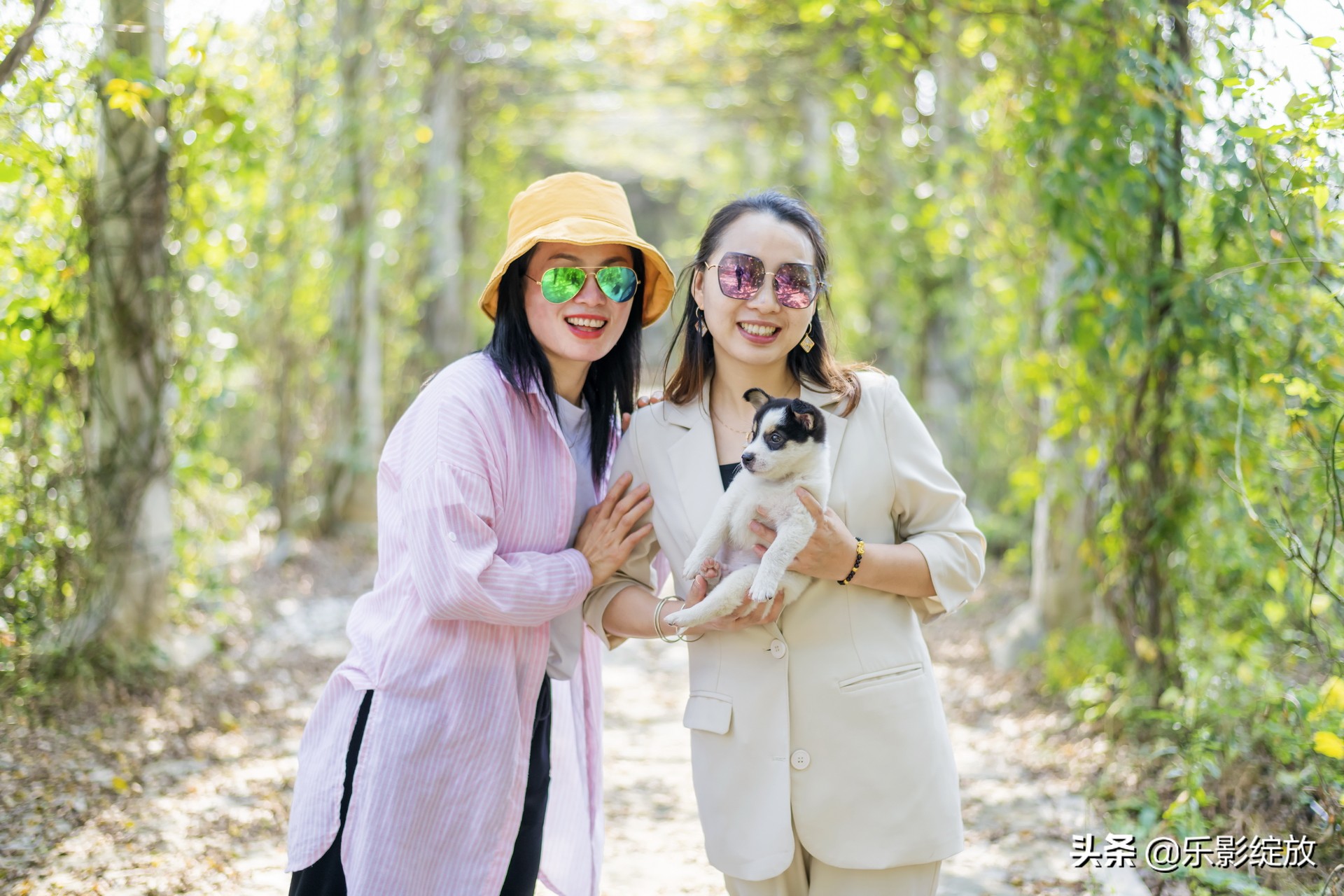 带小花狗去野外生存,带着小花去兜风