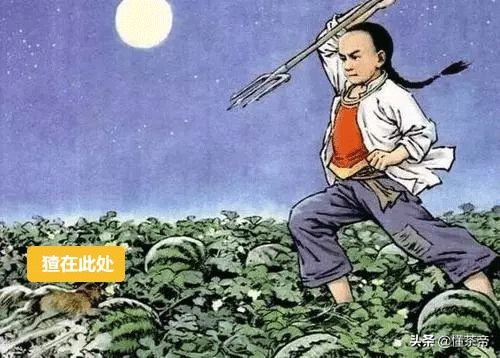 什么香型铁观音最正宗,最好喝的清香型铁观音