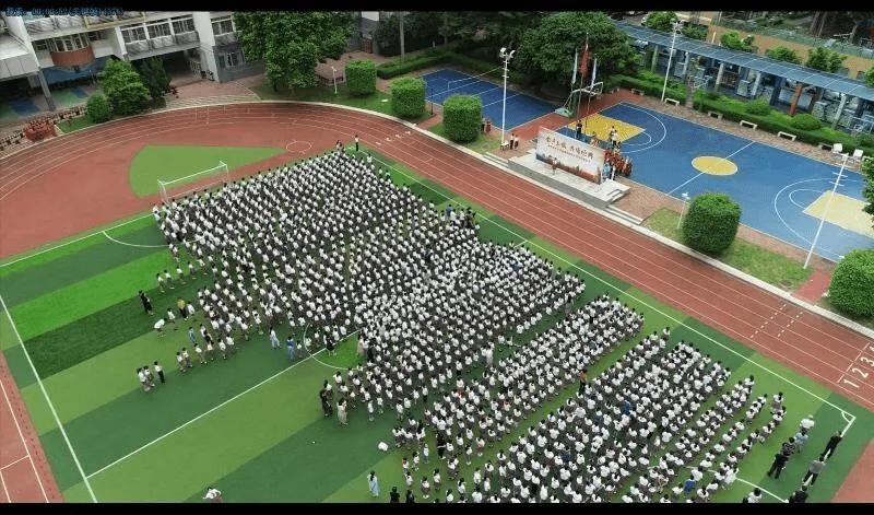 深圳最难进的学校,深圳最难进的五大学校