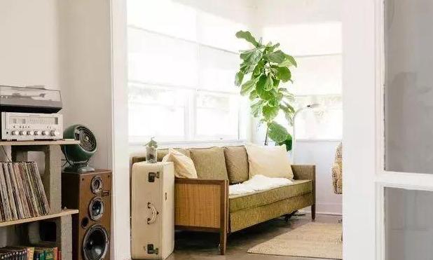 花土结块,怎么防止花土结块