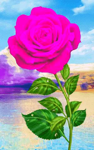 这是我见过最美丽的风景用英语,这是我见过最美的风景啥意思