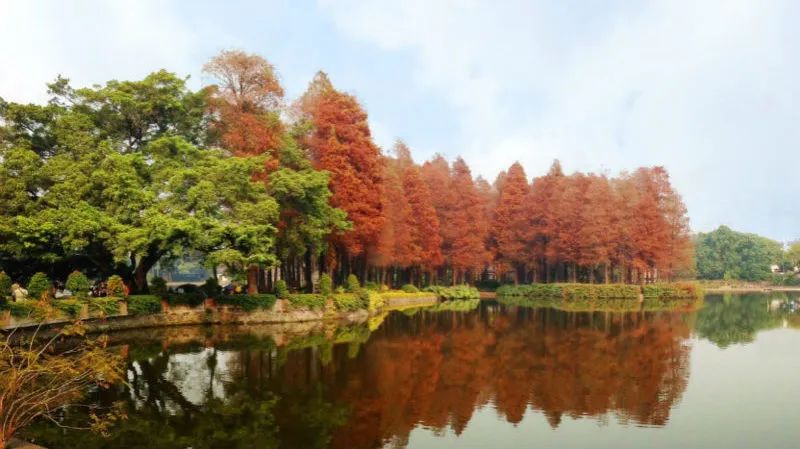 广州凉爽又好玩公园在哪里,夏季广州公园游玩攻略