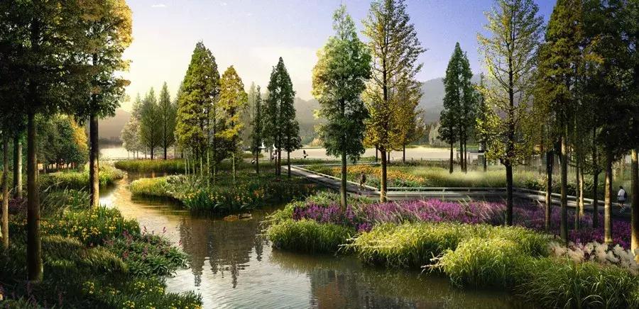 杭州西湖足球场,杭州富阳免费足球场