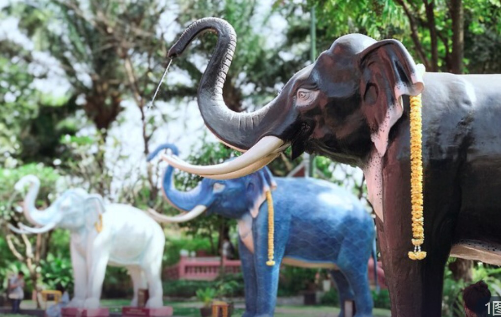 最好的时光遇见你免费观看,泰国5日经典旅游攻略