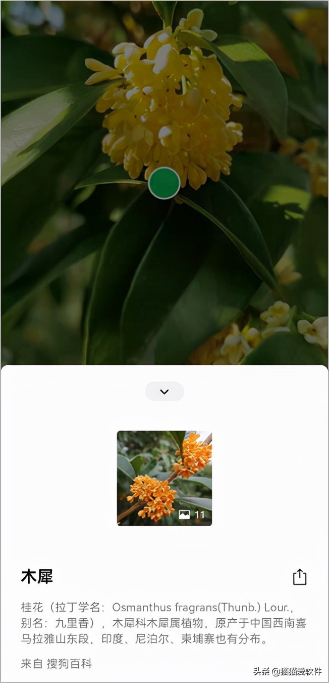 还有什么像微信一样有聊天功能,微信仅聊天新功能