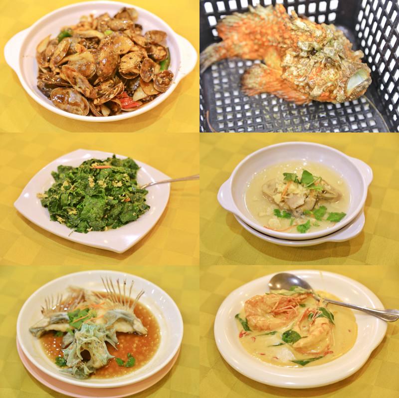 玩转沙巴海钓攻略,沙巴亚庇一日自由活动推荐