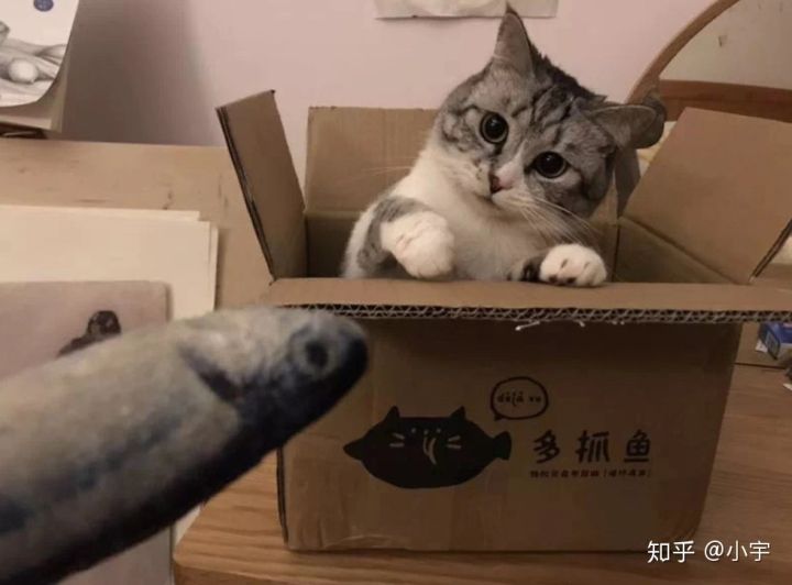 多抓鱼二手书在哪买,多抓鱼二手书质量怎么样