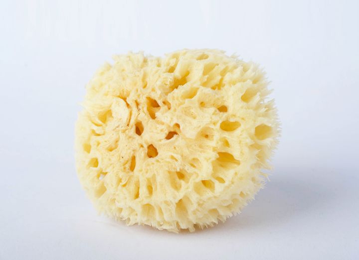 10个家庭必备的好物推荐,30元以上的居家好物