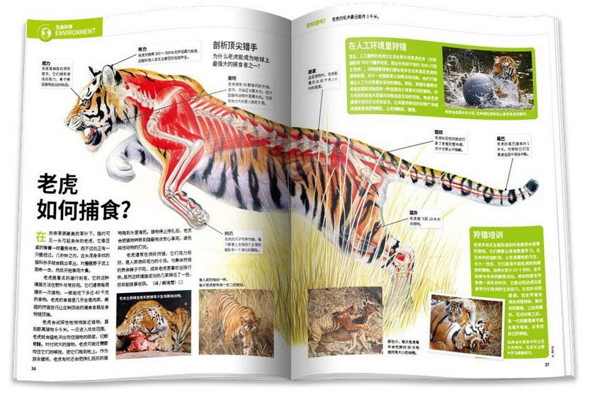 中国科学十大科技进展,中国科技进步有哪些
