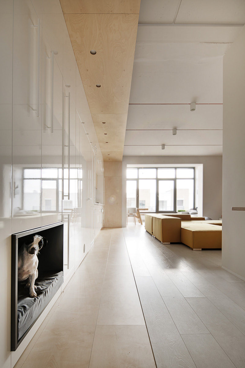 狗窝如何布置才能让狗狗感到舒服,给狗狗布置狗窝房间