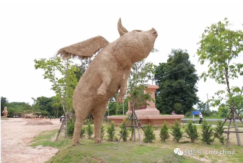 一只“自嗨”的飞猪飞过双十一