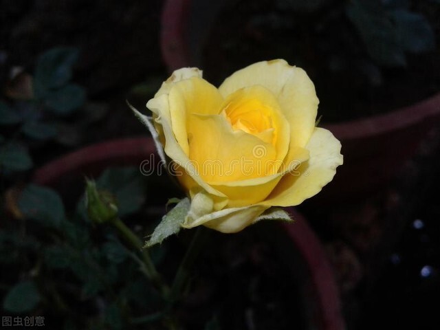 歌曲暗香沙宝亮,精彩音乐汇暗香沙宝亮