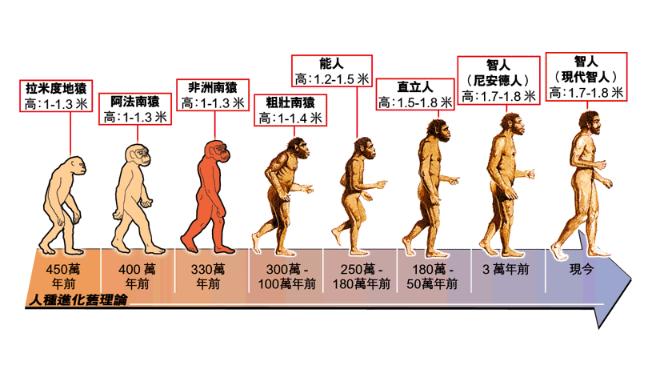 祖先全身毛发，人类进化得却只有阴毛、头发等，原因何在？