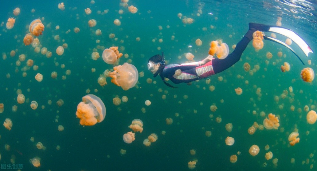 赵小明心理学视频全集,赵小明心理学怎么样