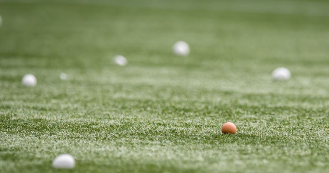 辣椒大葱圆白菜，绿茵场上原来不只有草