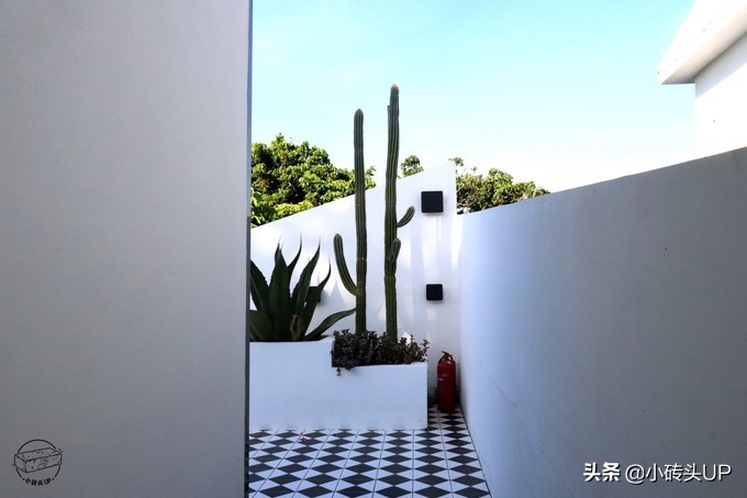 厦门的攻略,厦门的旅游攻略学生版