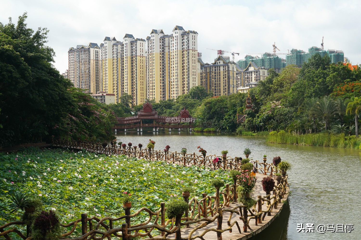 西双版纳看孔雀大象是哪个景点,西双版纳第一名景点