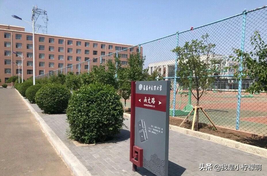 长春中医药大学吉林省唯一一所中医药高等学府