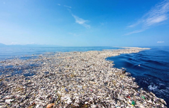 美国双头蛇同时吞下2只老鼠,双头蛇进食老鼠