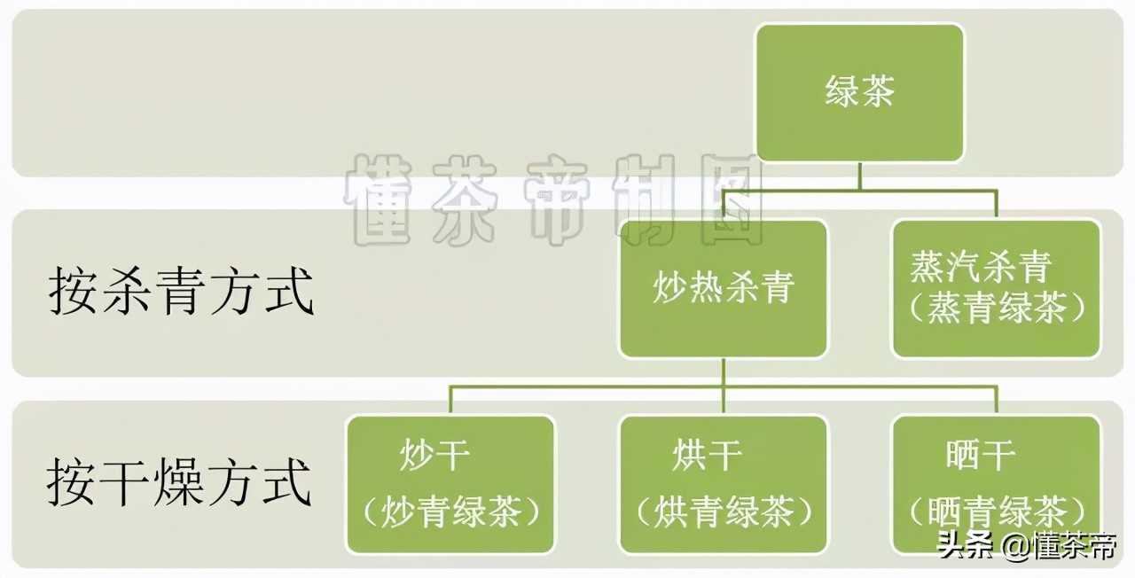 绿茶四大产区及代表茶,绿茶4大流派代表名茶