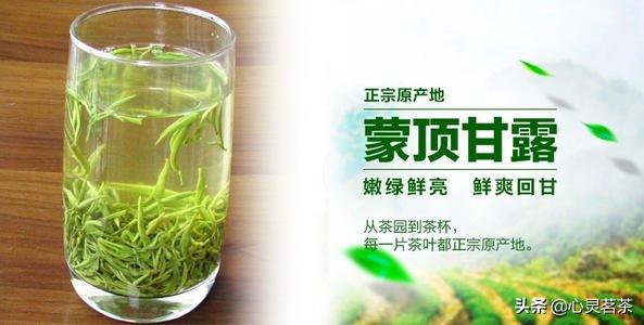 蒙顶甘露茶冲泡,蒙顶甘露与龙井的冲泡区别