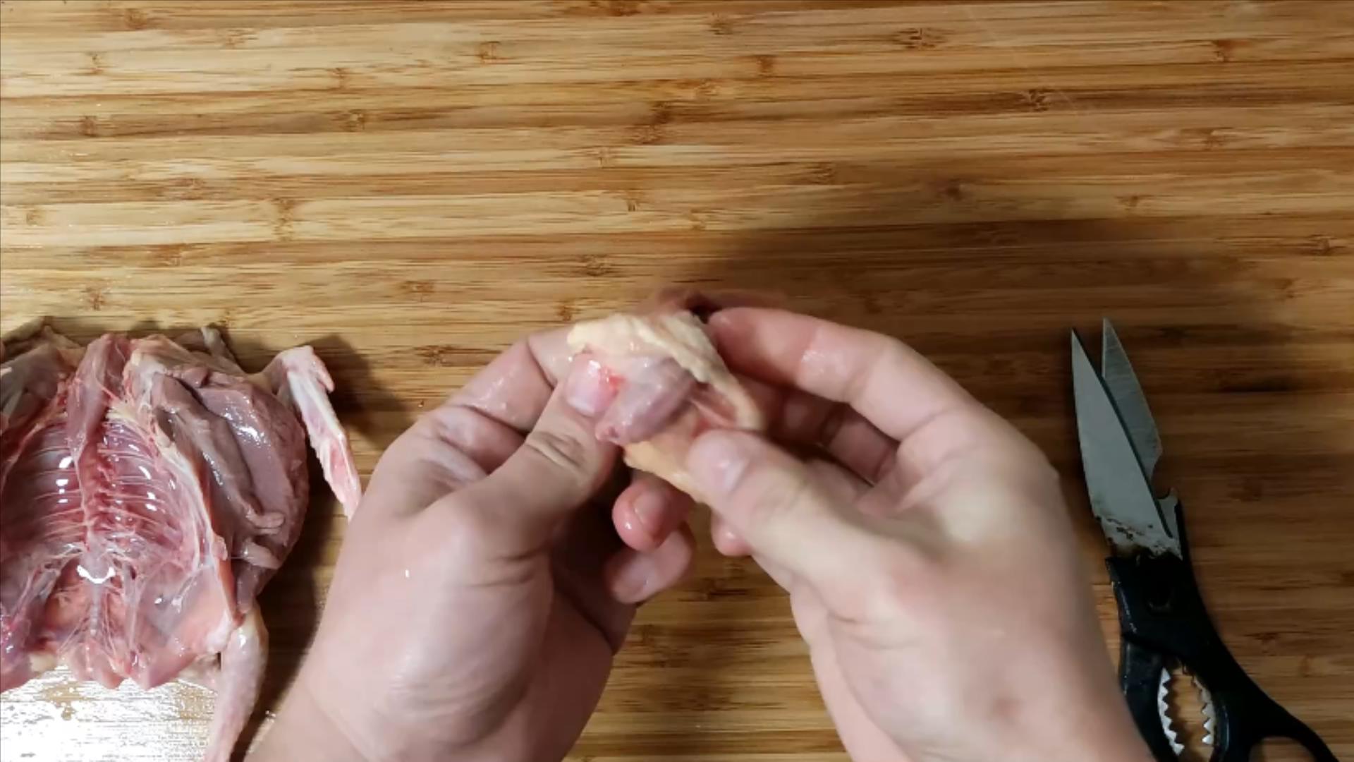 鸽子十大毒素排名,鸽子的毒素在哪里