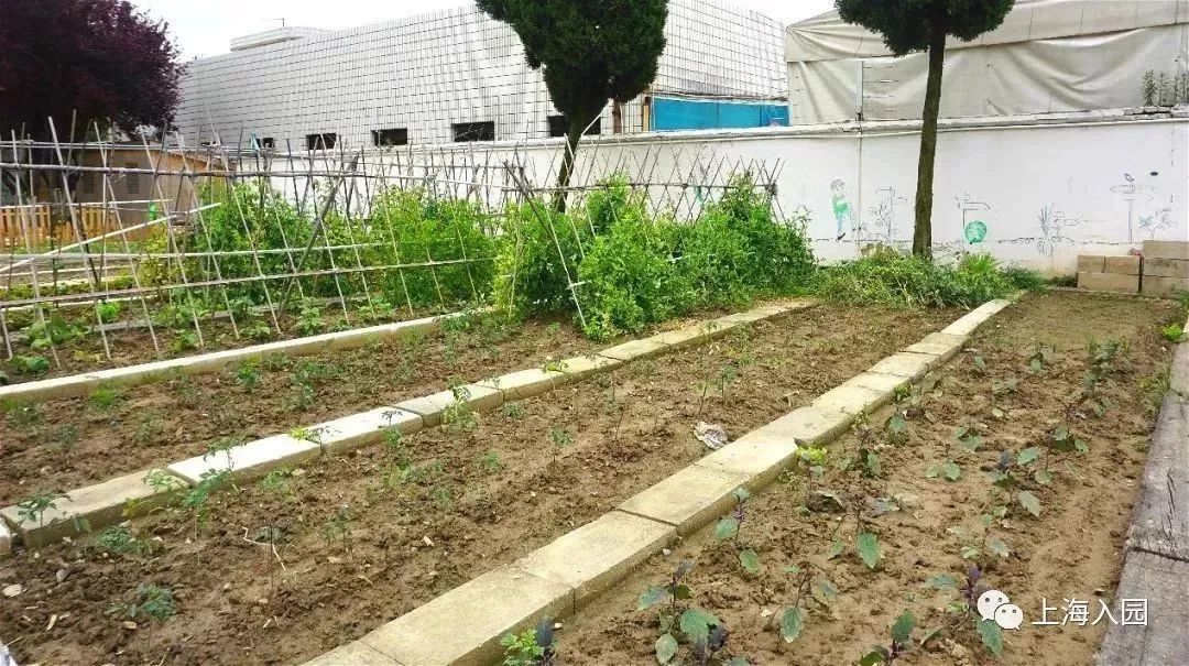 探园|这所幼儿园堪称“天然氧吧”！开办2年人气超高！报名人多